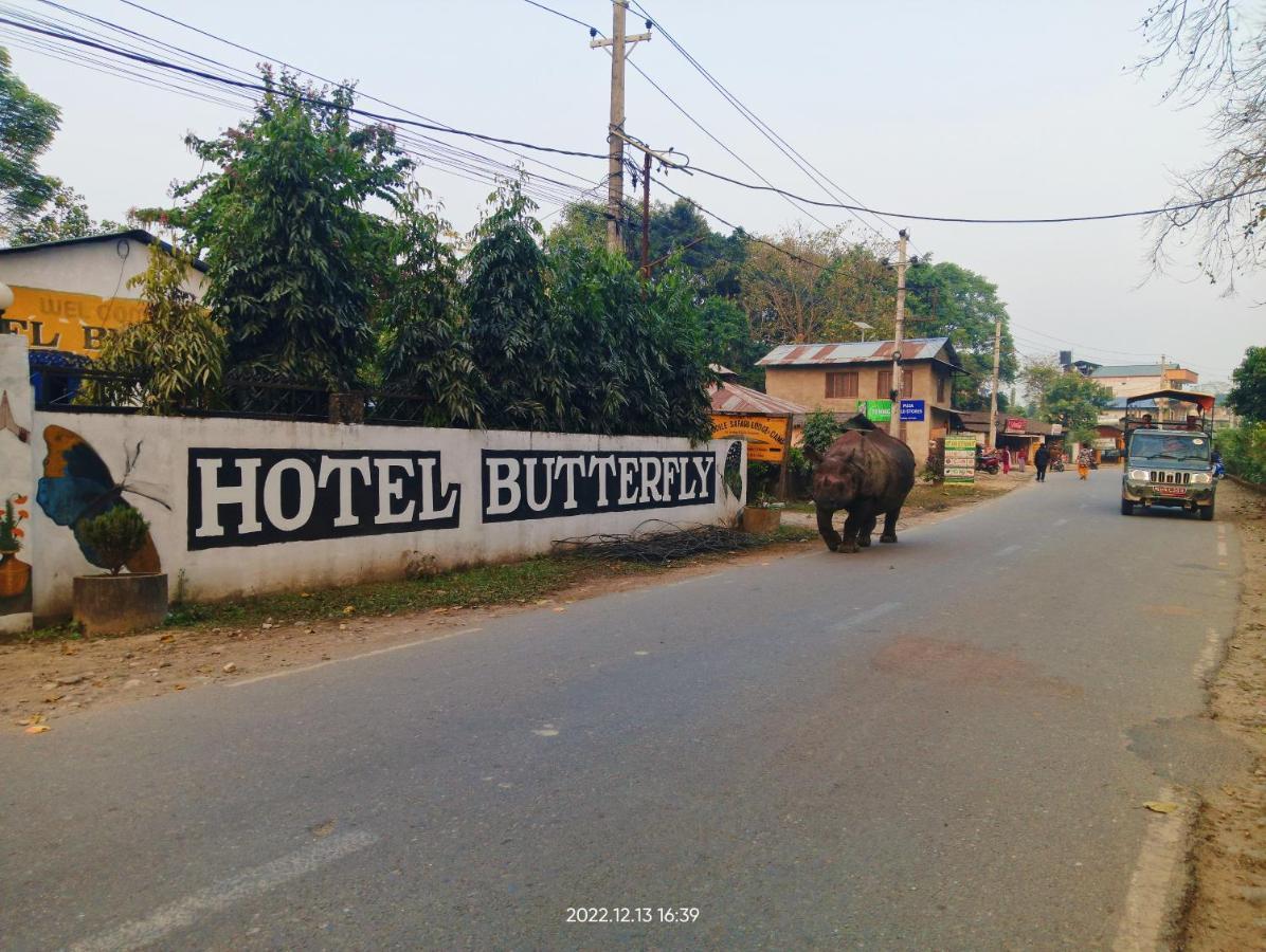 Hotel Butterfly - Peaceful Garden For Nature Lovers 사우라하 외부 사진