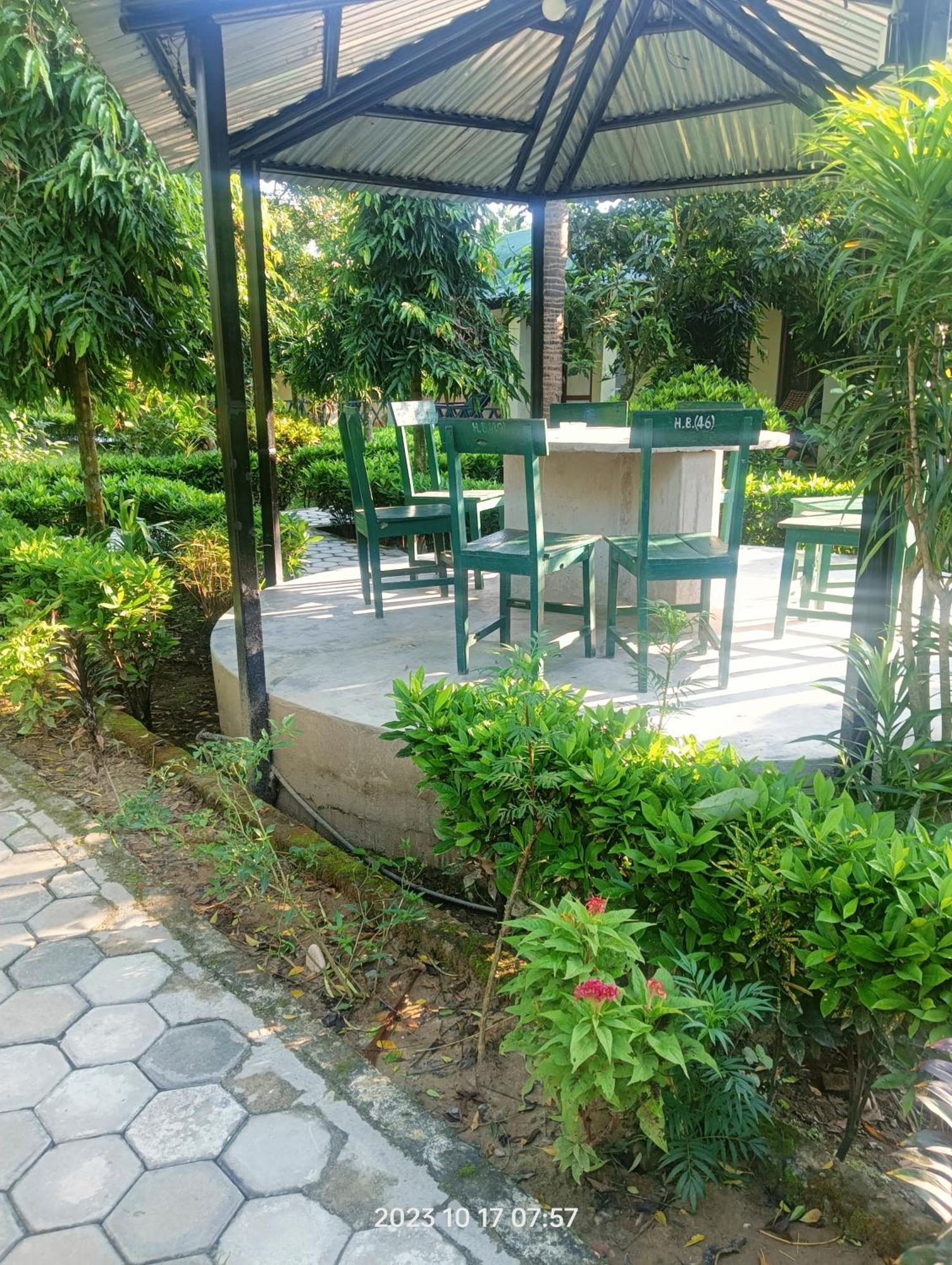 Hotel Butterfly - Peaceful Garden For Nature Lovers 사우라하 외부 사진