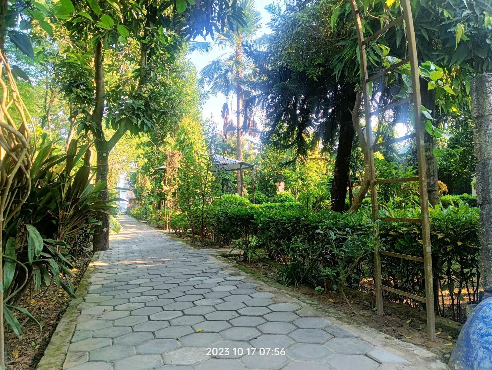 Hotel Butterfly - Peaceful Garden For Nature Lovers 사우라하 외부 사진