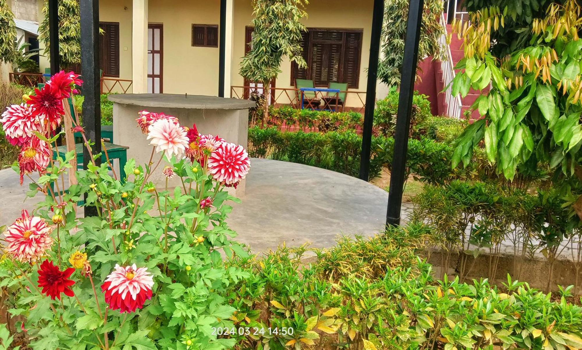 Hotel Butterfly - Peaceful Garden For Nature Lovers 사우라하 외부 사진