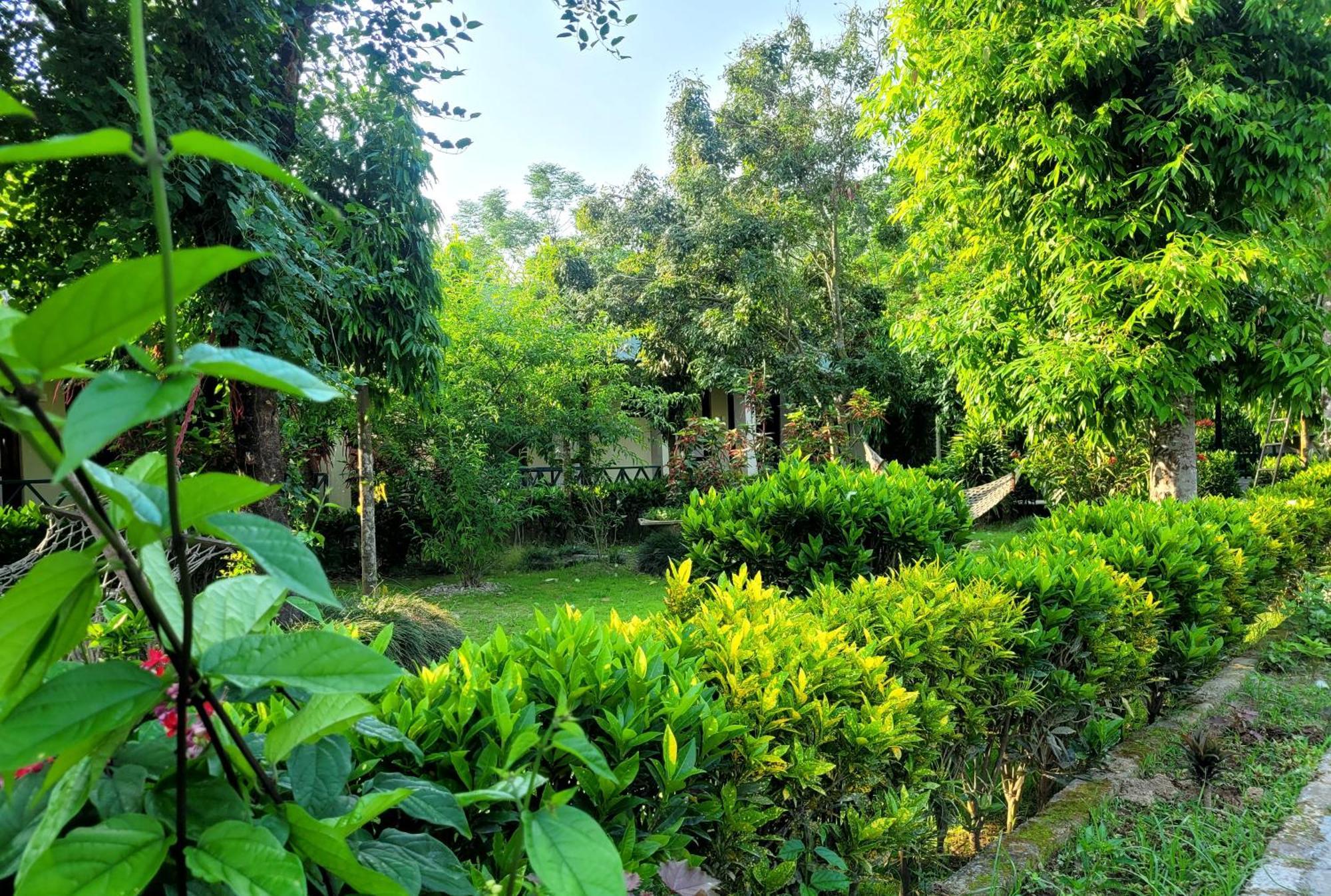 Hotel Butterfly - Peaceful Garden For Nature Lovers 사우라하 외부 사진