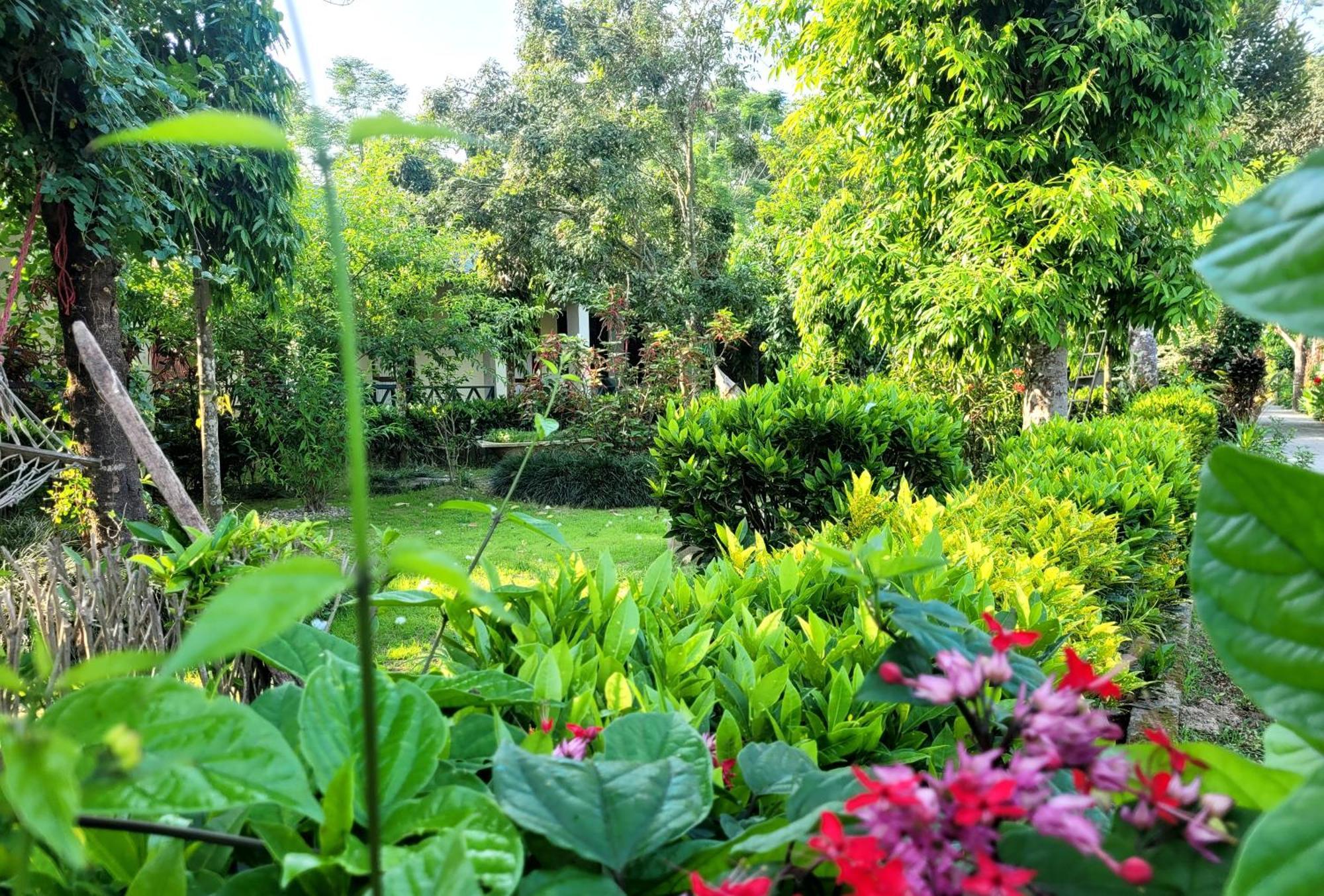 Hotel Butterfly - Peaceful Garden For Nature Lovers 사우라하 외부 사진