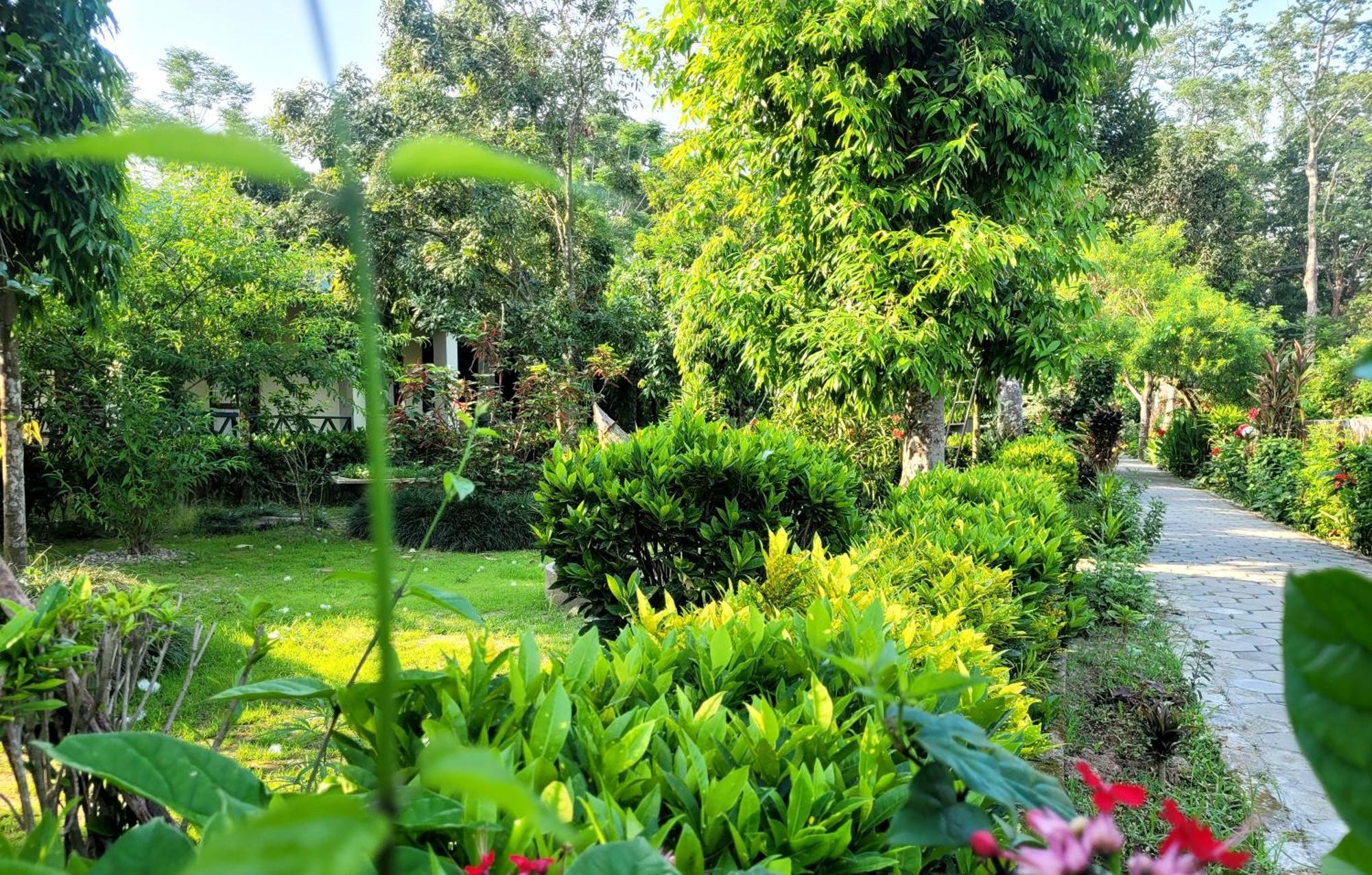 Hotel Butterfly - Peaceful Garden For Nature Lovers 사우라하 외부 사진